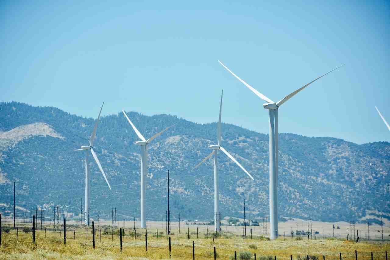 Comprometidos con la sostenibilidad: Bi Bank y su contribución al desarrollo verde en Panamá